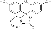 地磅維修